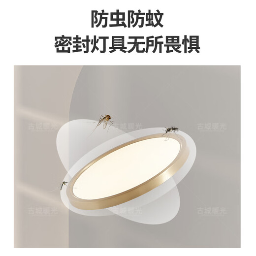 古城暖光超薄吸顶灯现代简约屋檐顶阳台灯飘窗顶灯防水走廊过道灯 X3894 40CM/48瓦/三色变光