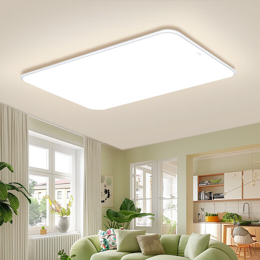 NVC Ceiling Lamp Full Spectrum Eye Protection Package Living Room Lamp Simple Bedroom Smart LED Lighting Puri Snow S Package Installation