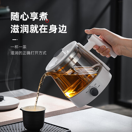 Biooner tea kettle, spray type tea kettle, steam type black tea kettle, office home kettle, mini health pot flower tea kettle, white (upgraded with insulation) 0.8L