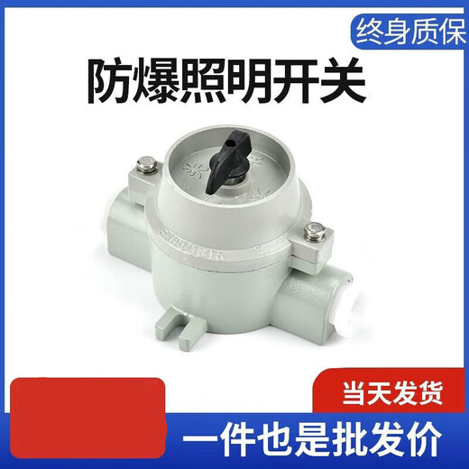 National standard thickened industrial explosion-proof lighting 380v220V10A three-phase knob light control switch SW-10 aluminum alloy one open 380V10A
