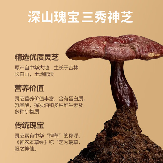 敖东灵芝原浆100g袋浓缩口服液有机产地滋补营养品节日送老人长辈礼物