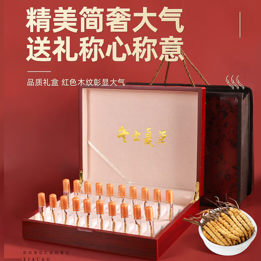 Juhe Taitou Cordyceps Regalos Regalos de regalos de regalos Año Nuevo para vacaciones Ancianos y ancianos Tonic Suplementos nutricionales [4 palos/g 40 palos-10 gramos] Recomendación de regalos