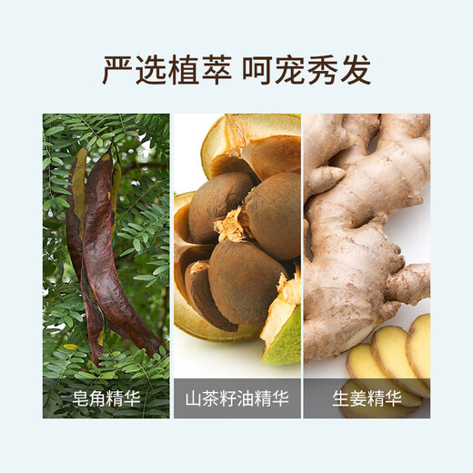 蜂花（BEE&FLOWER）净爽去屑洗发露强韧蓬松轻盈洗发水皂角山茶籽油精华洗发液