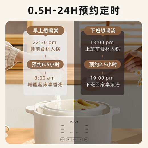 LOTOR Leda white electric stew pot multi-functional pot electric cooking pot soup pot household large-capacity water-proof stew pot baby food supplement electric steamer porridge pot D31 basic model