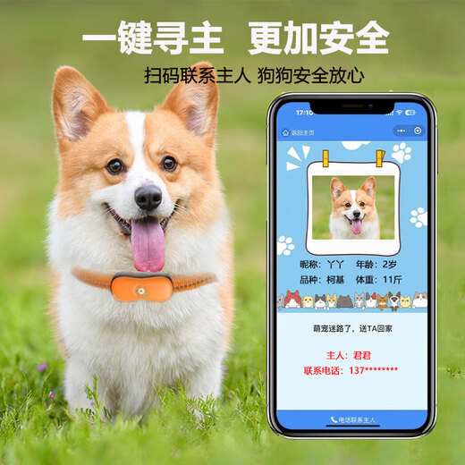 Fengwei dog locator gps tracker cat anti-lost 5G tracking artifact pet halter collar waterproof and anti-disassembly small (orange) 5G positioning + ringtone + collar