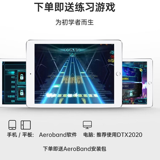 aeroband空气架子鼓智能便携电子鼓虚拟练习鼓棒初学者儿童家用专业 木纹款套装（含收纳包）