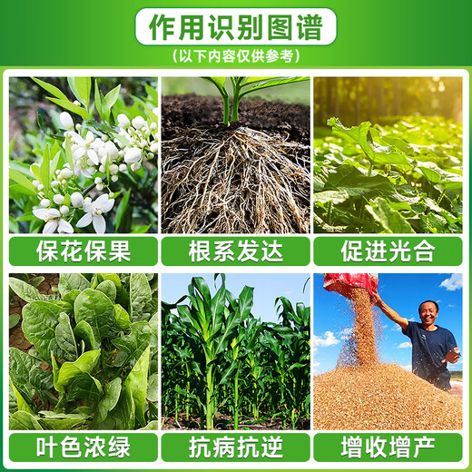 Potassium dihydrogen phosphate for corn, wheat, rice, high phosphorus and high potassium foliar fertilizer for fruit trees, vegetables and flowers, water-soluble fertilizer 99% potassium dihydrogen phosphate 50g*20 bags