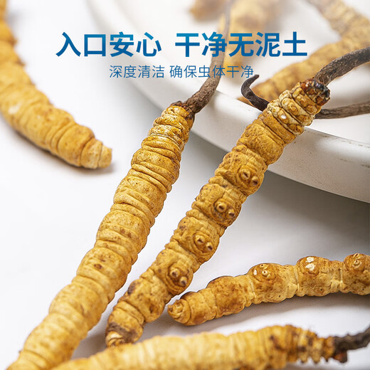 聚和泰头茬冬虫夏草礼盒新年货节日过节送礼家人长辈老人健康营养滋补品 【4根/克 40根-10克】节日送礼送健康