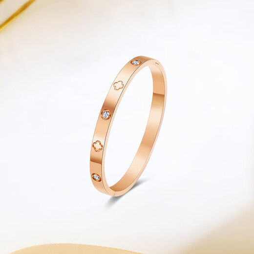 Bracelet de vacances romain gatmeet bracelet de crocodile à quatre feuilles de femme bracelet de nom de nom de nom ancienne femme et mère de la Saint-Valentin Bracelet de vacances romain + rouge bracelet crocodile à quatre feuilles rouges