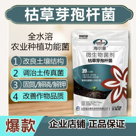 Guanlong Agricultural Chemical Bacillus subtilis compound microbial agent to prevent and control bacterial wilt, root rot, ginger plague and root rot 1000g*3 bags