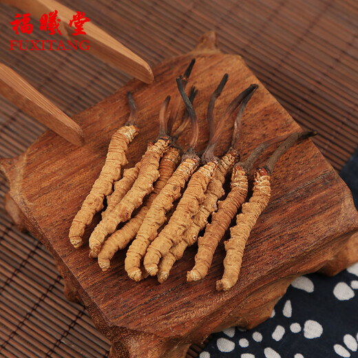 Fuxitang Cordyceps sinensis 5 Wurzeln/g 1 Gramm/Box ungefähr 5 Wurzeln