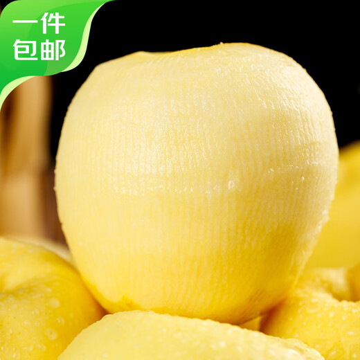 Jingxiansheng Shandong Golden Venus Apple Net weight 3Jin Jin is equal to 0.5kg Single fruit 160g+ Fresh in season Straight from the source