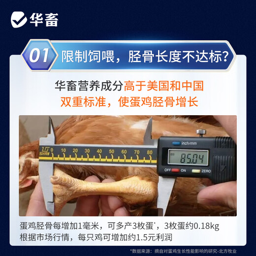 Huazhu 5% laying hen premix, chicken feed during egg production peak period, egg production period feed, reserve chicken early stage compound premix, laying hen premix, whole ton as low as 95/bag