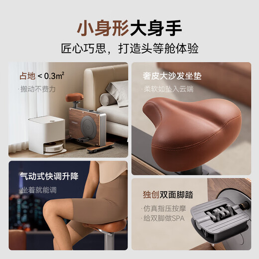 Jueying XENJOY small wooden horse dynamic bicycle household indoor bicycle fitness equipment aerobic exercise weight loss exercise Jueying household leisure bicycle walnut version