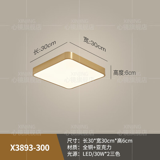 心镜全铜户外吸顶灯别墅超薄入户门灯走廊过道阳台灯露台防蚊虫庭院灯 X3893-400*600/长方形