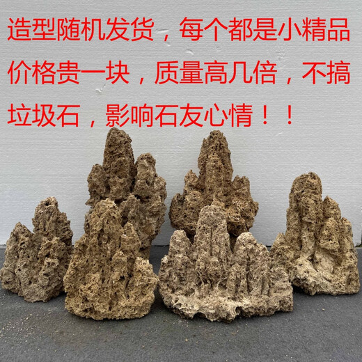Fine small water stone bonsai rockery absorbent stone micro landscape decoration strange stone ornaments natural original stone about 17-22cm plus plate plus grass seeds with stones