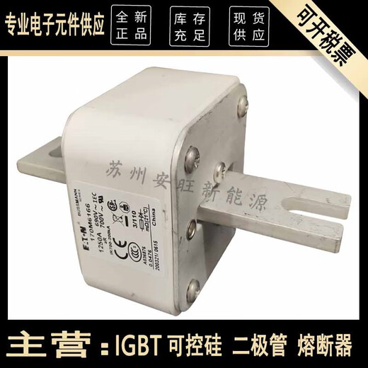 CNOBLE伊顿bussmann巴斯曼170M6166 170M6167 170M6168 170M6169熔断器 更多型号请咨询客服