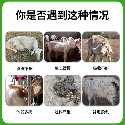 Yingmeier Yingmeier fattening sheep premix animal feed wholesale fattening king special bone and fat meat sheep goat fattening sheep premix 20kg*1 bag