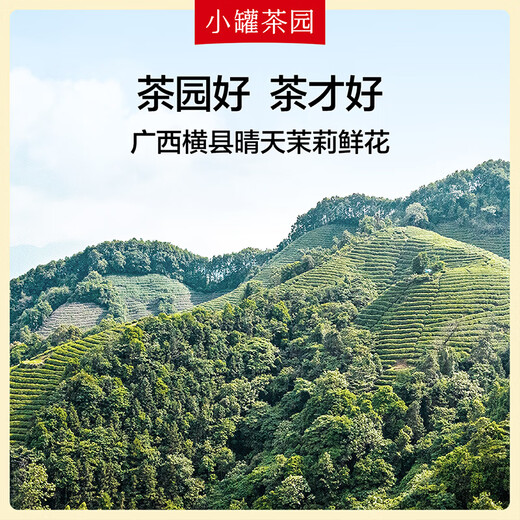 Xiaoguan Tea Garden Liujin Serie Pu'er Ripe Tea Lose Tee/Guangxi Hengxian Jasmine Tee 2 Dosen Kombination 120g