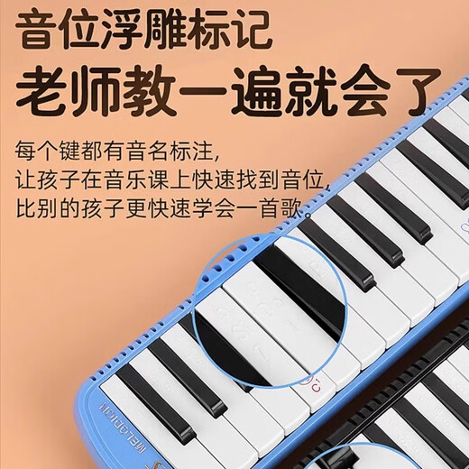 Qimei DHS Organ 37 ÉCHANCES PRIMALES CLÉS Utilisez 32 clés pour les débutants à une école professionnelle Blowing Tube Small Musical Instrument Lettrage [Recommandation de classe étudiante] 37 Clés / Bleu