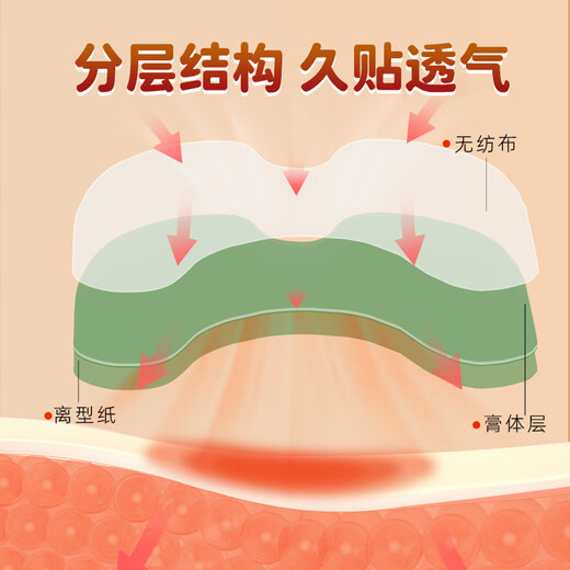 Tong Ren Tang Beifuß-Kniepflaster, gesundes Moxibustionspflaster, Kniegelenk-Beifuß-Patch, 12 Pflaster/Box