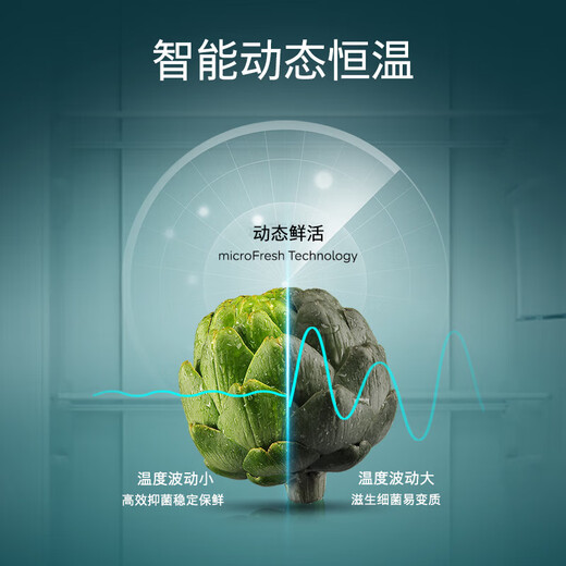 Siemens (SIEMENS) 637-liter double-door independent double-cycle refrigerator first-class energy efficiency energy-saving frequency conversion large capacity air-cooled frost-free precision control constant freshness national subsidy KT99V1250C