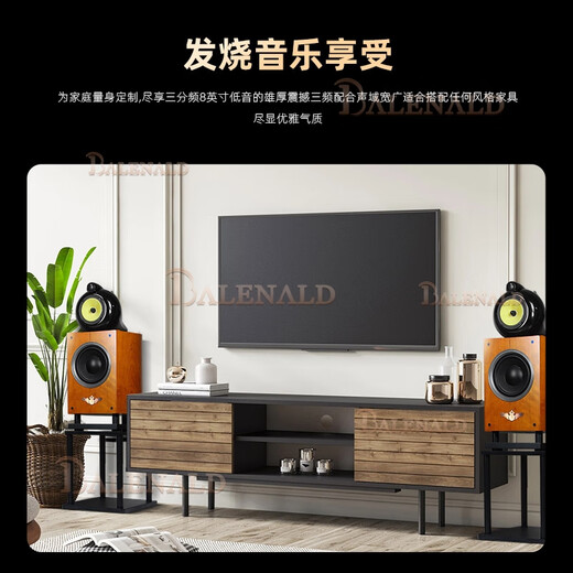 班龙Balenald NS8鹦鹉螺发烧级高保真8寸低音鹦鹉螺音响三分频书架无源hifi音箱高端 8吋鹦鹉螺音箱+698功放