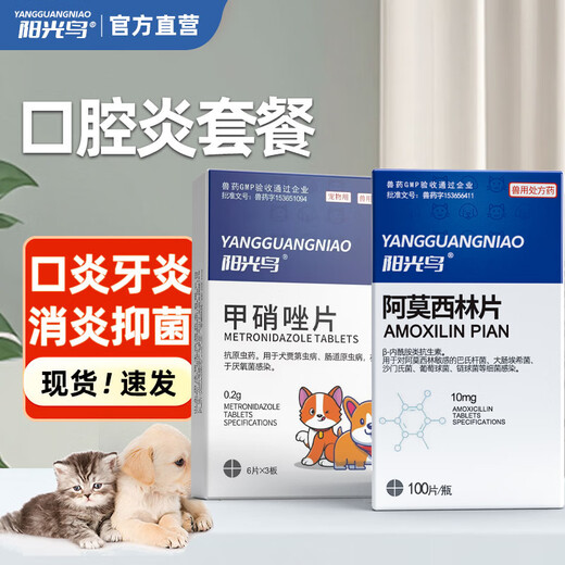 Metronidazole Cat and dog stomatitis, bad breath, oral ulcers, red and swollen gums, periodontitis, trichomonas infection, diarrhea, loose stools, bloody stools, stomatitis package, metronidazole tablets + amoxicillin tablets
