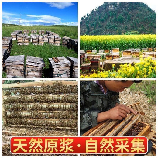 溥畔胖大海同款山姆官方【1048人收藏】特级蜂王浆野生新日期春浆农家 [活动进行中]仅剩00:58 原浆特级1000g[2瓶]