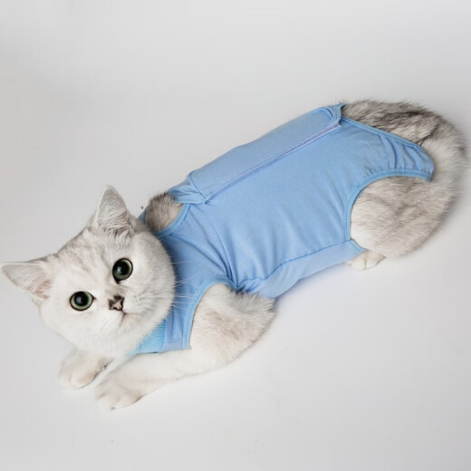 Niqi cat sterilization surgery clothing, dog female cat weaning clothing, menstrual clothing, anti-hair loss, cat moss, skin disease, anti-licking clothing, blue - back length is subject to M size, back length 28-34, bust 34-40