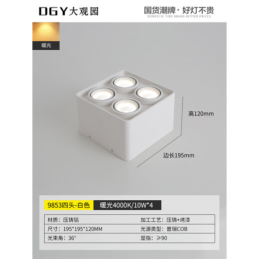 大观园（DGY）明装筒灯智能主卧室无主灯斗胆灯防眩LED格栅灯中山灯具429O 9853-四头-白色-普瑞40W-暖光