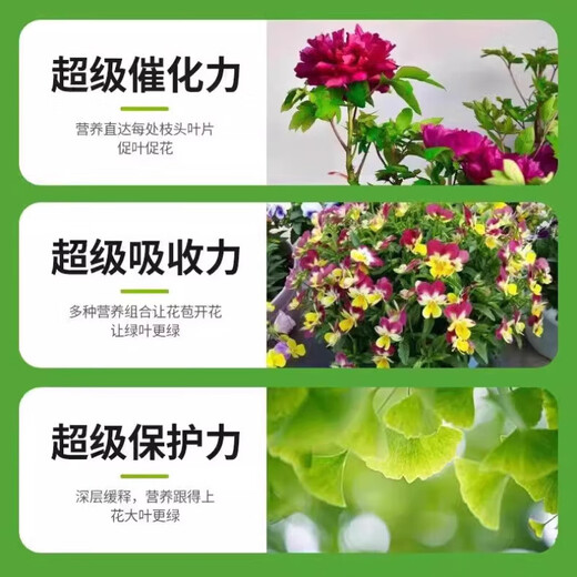 植物再生剂浓缩营养液复活液水培花肥料室内盆栽植物营养液通用型 单盒(6支108g）