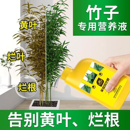 Stanley bamboo special nutrient solution first aid yellowing leaves dry tips dry leaves rotten roots promote growth green plants household compound fertilizer bamboo nutrient solution 500ml