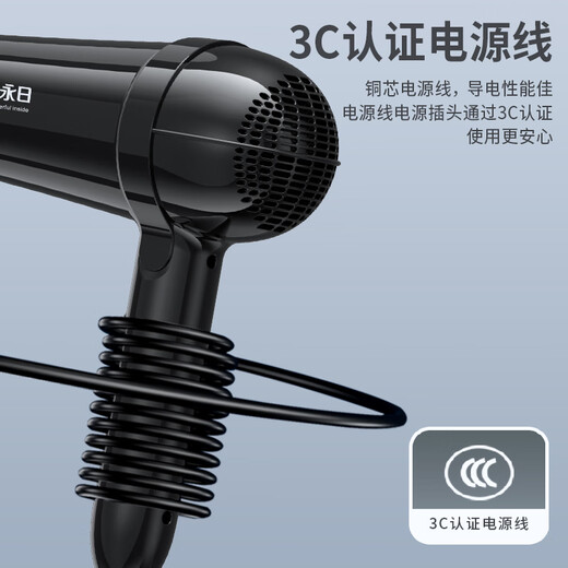 Yongri (yongri) household hair dryer 2100W professional high-power floral dormitory family high wind constant temperature hair dryer national subsidy Mother's Day gift