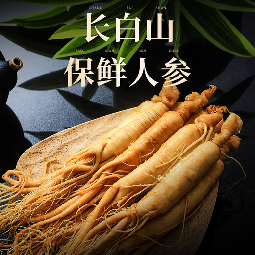1 Frisch Ginseng in Banshan Agricultural etwa 40 Gramm. Die Spezialität des Nordostchina Changbaumsan Ginseng. Medizinische Materialien und Älteste Tonic Nutritional Products.