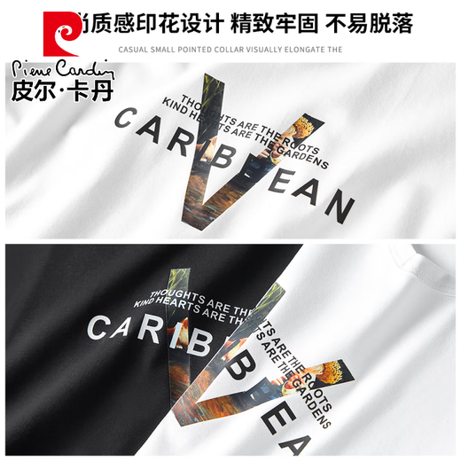 皮尔卡丹（pierre cardin）2025春秋长袖t恤男薄款莫代尔棉秋衣黑色潮流印花打底衫内搭上衣 白色 (15123) M (适合95-115斤)