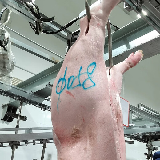 Huibojia 698 Pork Special Marker Waterproof Oil-proof Pig Blue Water-soluble Pencil Beef, Sheep Pork Marker Pencil Meat Marker Pencil [6 packs]