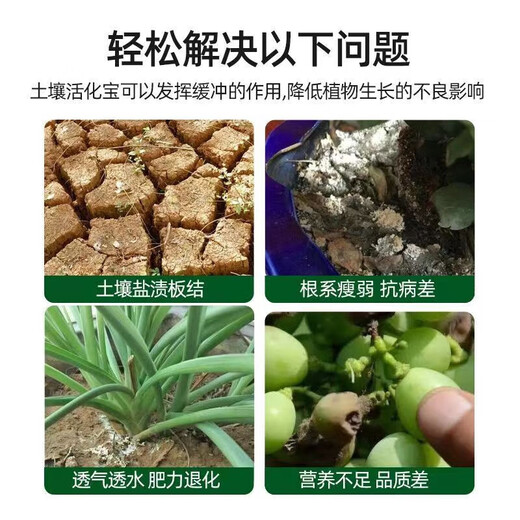Soil Activator Indoor and Outdoor Improved Soil Fertilizer Nutrient Solution Soil Loosening Agent General Fertilizer for Flowers and Plants 100g*5 bottles with lush roots and leaves