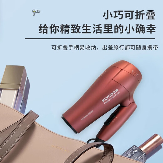 Feike hair dryer for household high-power negative ion soft wind hair care, strong wind light sound quick drying portable foldable hair dryer FH6218 (2000W negative ion hair care)