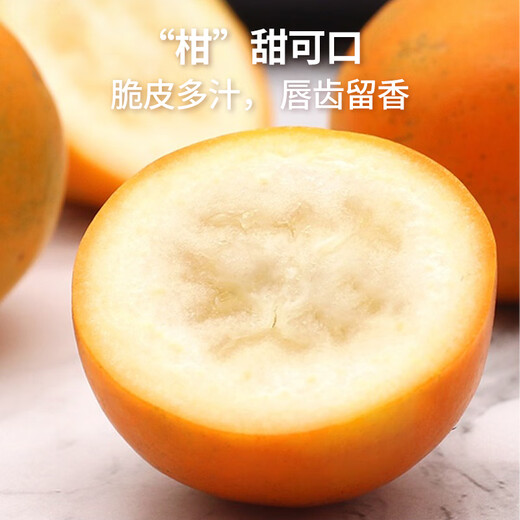 京觅广西融安 第三代脆密金桔 5斤装 单果41g+ 源头直发包邮