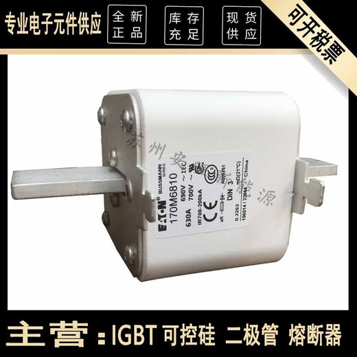 Kleisman 170M6810/6811/6812/16813/6814 NUEVO DE MEDIDO DE SEGURIDAD DE FUSE DE EATON NUNTO 170M6810