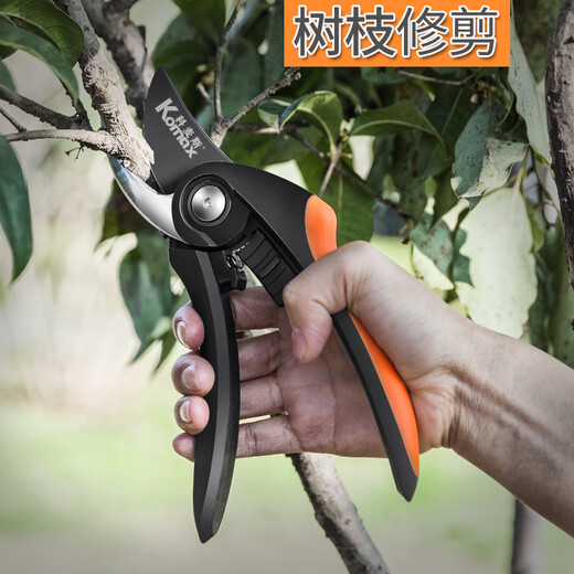 Jingxing German Seiko sk5 garden shears, special fruit tree pruning shears, thick branch flower gardening shears, household 8-inch garden shears with storage bag + spring