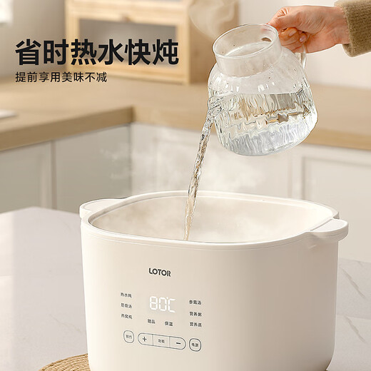 LOTOR electric stew pot for stewing soup, household water-proof bird's nest stew pot, ceramic porridge artifact, baby food supplement pot for 2-3 people, 4 LD-DDZ40 steamer