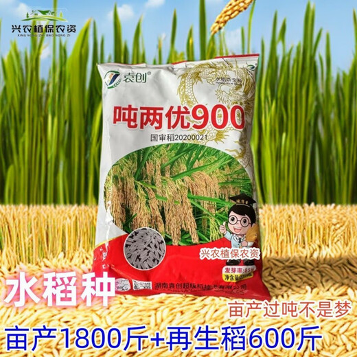 万丰优818巨穗稻稳产杂交水稻种再生稻超抗倒抗病耐热米质好 袁创稻/约460克一袋/ 23000粒*1袋(万丰优818)