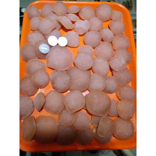 Shuque Big Herring Stonefish Shocking Stone Fish Throat Bone Anti-Frightening Natural Extra Large Fish Essence Raw Fish Frightening Bone 15-16g Raw Stone (Send Rope + Tools)