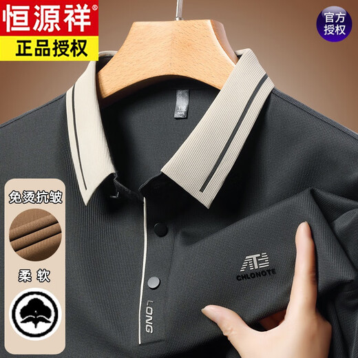 恒源祥中年男士长袖t恤春秋季新款休闲宽松翻领打底POLO.衫爸爸装上衣 16823浅绿 M 165【建议95-120斤】