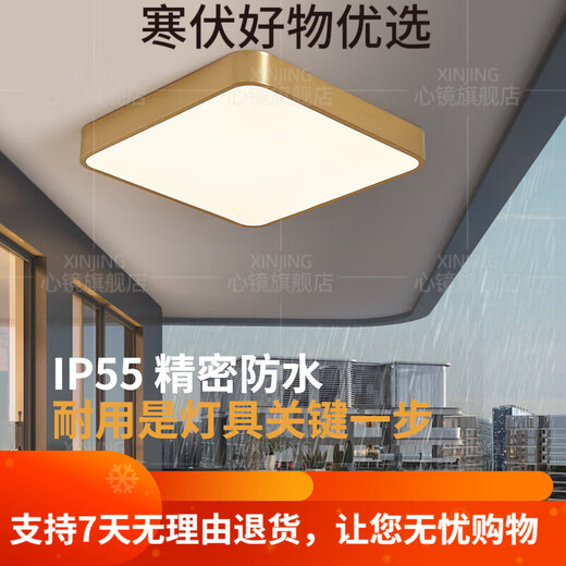 全铜户外吸顶灯别墅入户门灯走廊过道阳台灯露台防蚊虫庭 X3893-400/方形