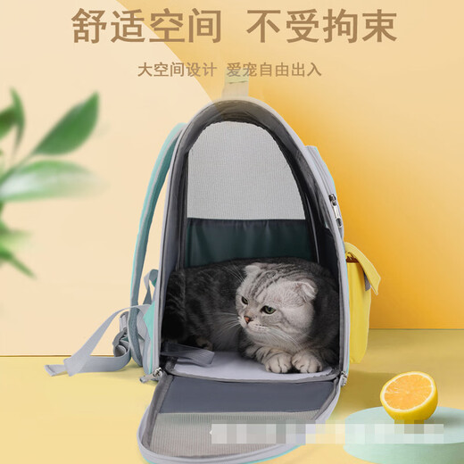 猫包双肩太空包外出便携背包高颜值手提小狗狗透气舒适猫咪宠物包 粉拼蓝