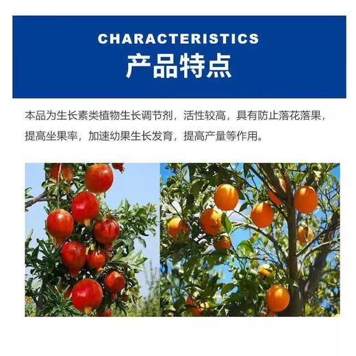 Guoguang Beineng sodium p-chlorophenoxyacetate citrus fresh-keeping tomato lychee and bayberry growth regulator 200ml