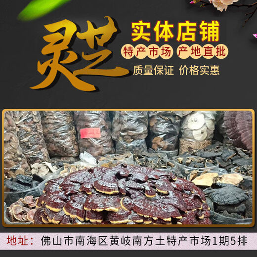 Fat Donglai's same style wild Ganoderma lucidum, pure natural purple Ganoderma lucidum, wild L-grown deep mountain natural non-bitter pruned branch with spore powder 500g whole Ganoderma lucidum 20-30 pcs